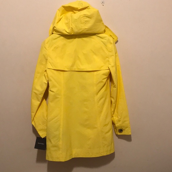 Spring trench coat. - Picture 5 of 8